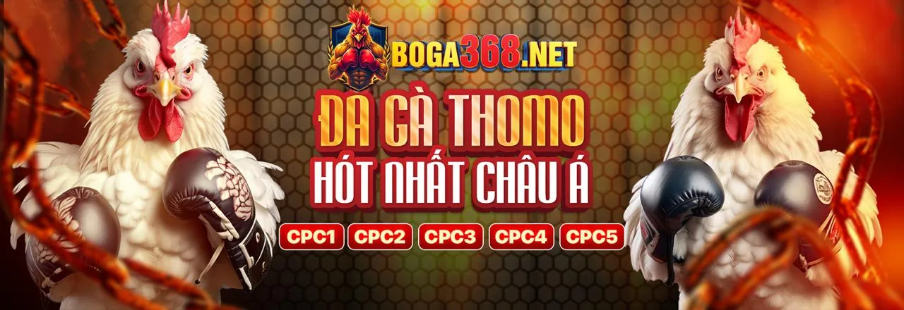 Giao diện đặt cược đá gà trực tuyến